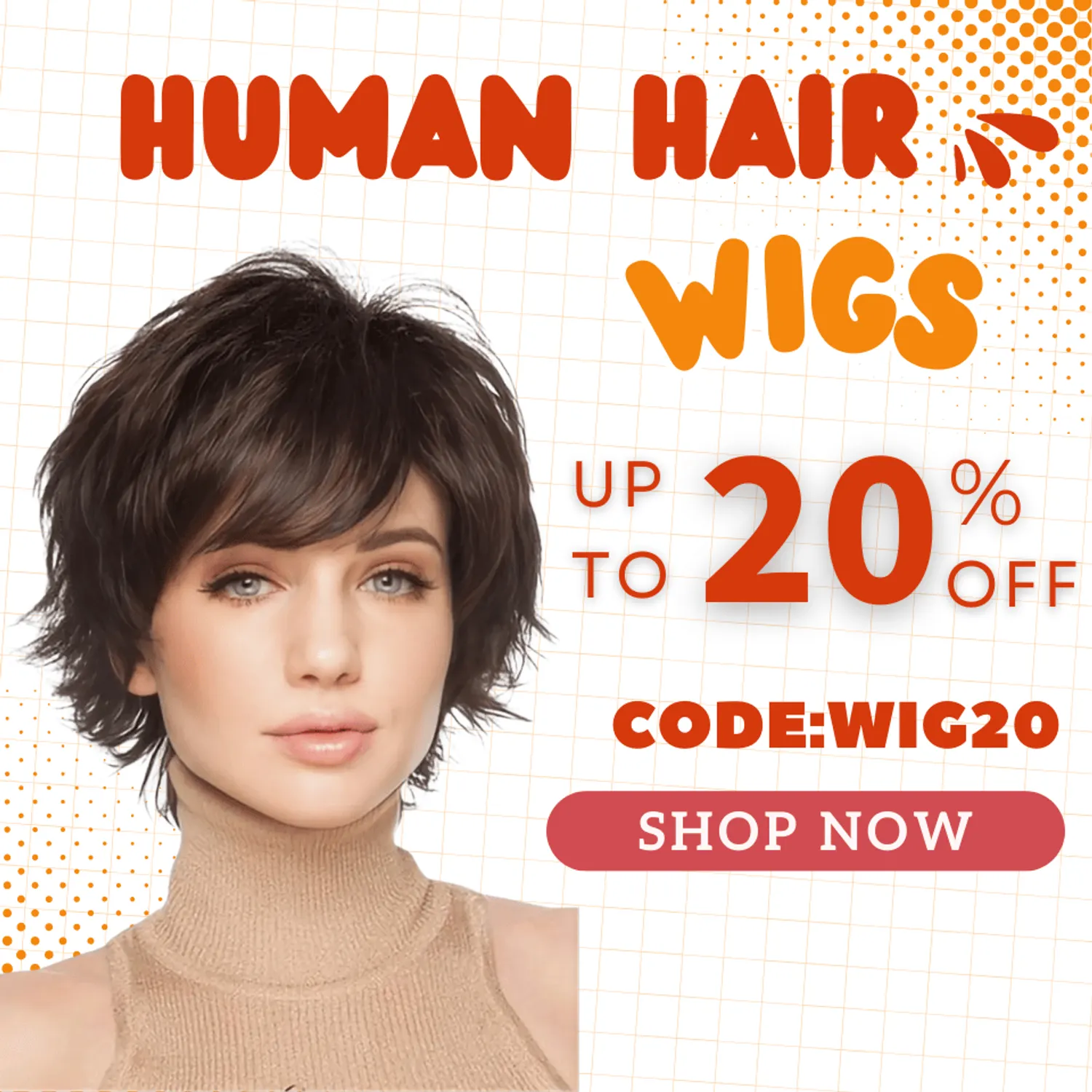 100% Human Hair Wigs