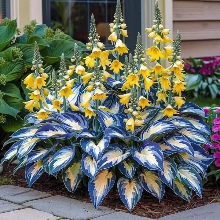 Blue Porcelain