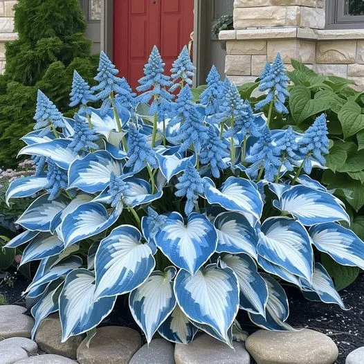 Celestial Blue
